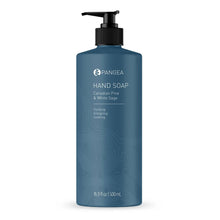 Load image into Gallery viewer, HAND SOAP | Canadian Pine & White Sage | 16.9 OZ | Aluminum Bottle
