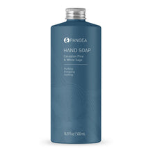 Load image into Gallery viewer, HAND SOAP | Canadian Pine & White Sage | 16.9 OZ | Aluminum Bottle