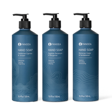 Load image into Gallery viewer, Hand Soap | Variety Set