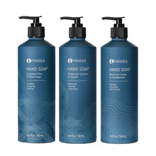 Load image into Gallery viewer, Hand Soap | Variety Set 2
