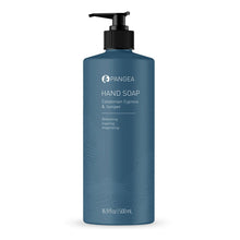 Load image into Gallery viewer, Hand Soap | Catalonian Cypress & Juniper | 16.9 OZ