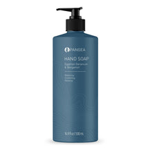 Load image into Gallery viewer, Hand Soap | Egyptian Geranium & Bergamot | 16.9 OZ