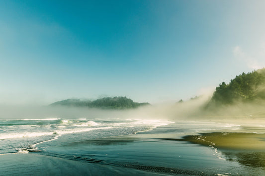 International Coastal Cleanup Day