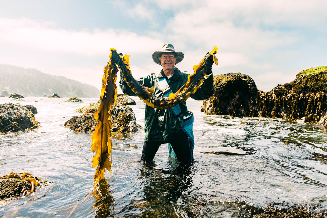 Meet the Seaweed Master