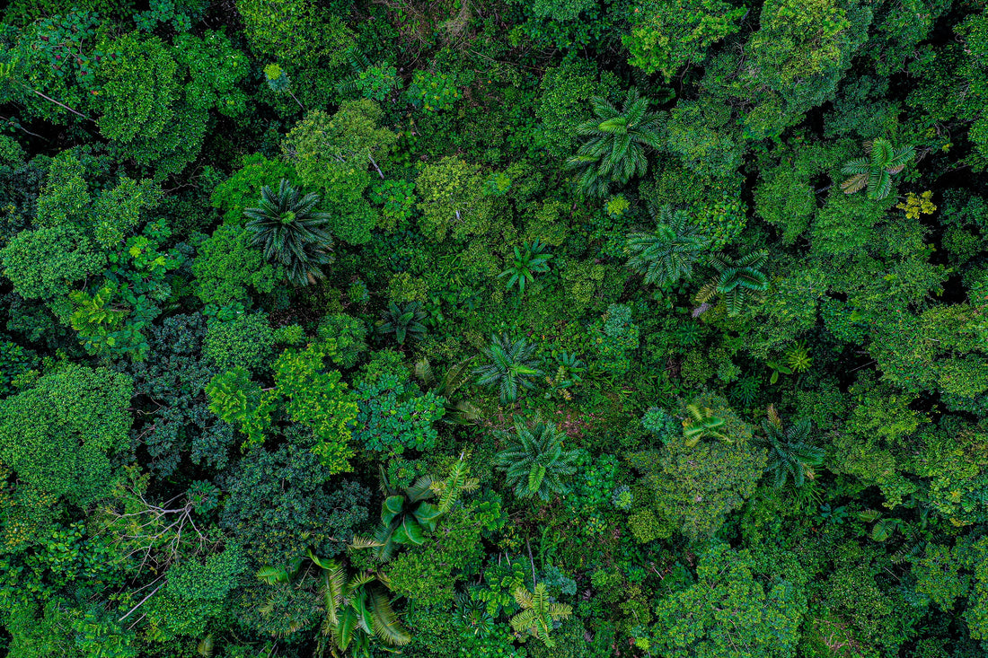 More than Earth Day