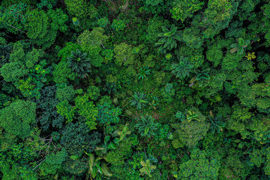 More than Earth Day