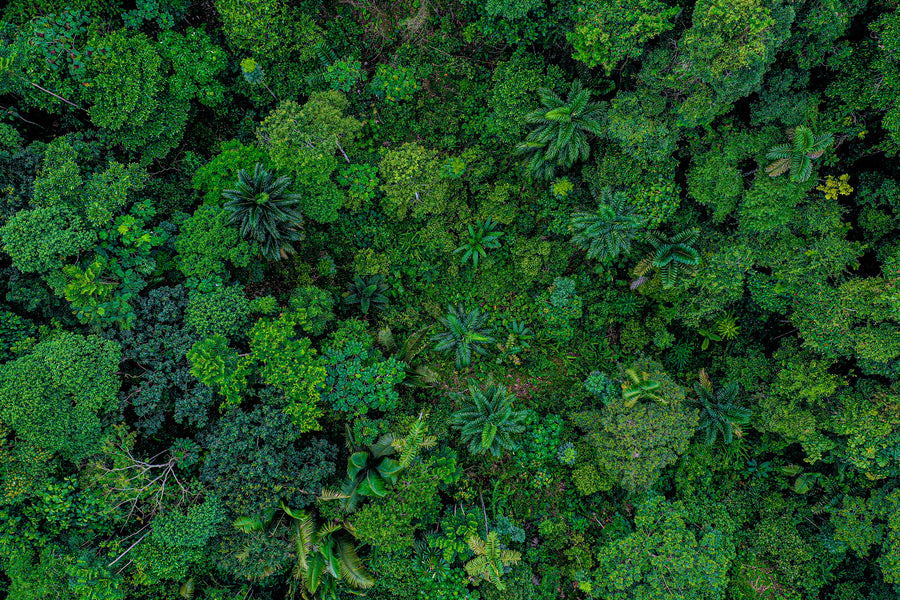More than Earth Day