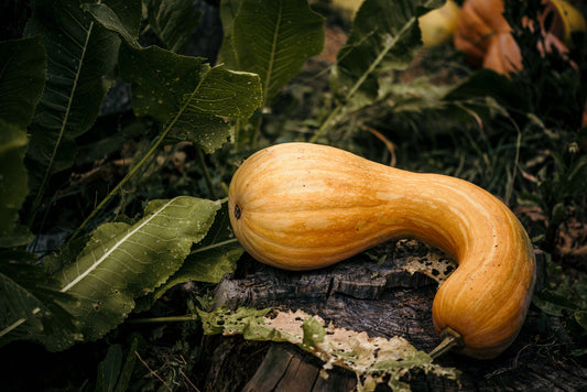 Healthy Halloween