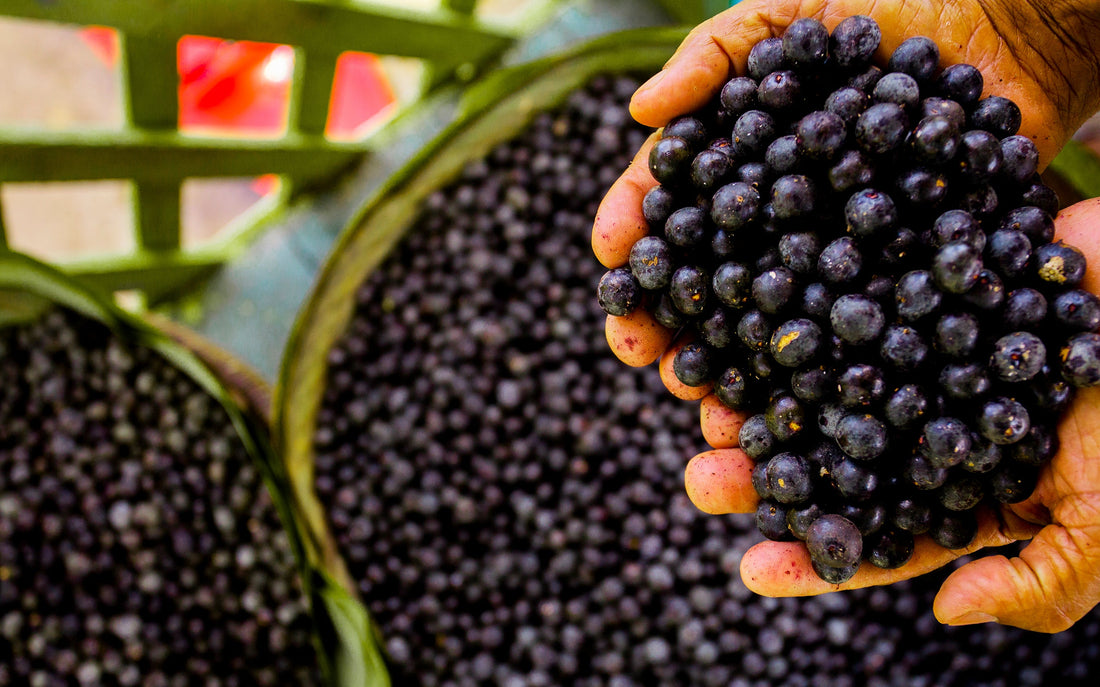 Berry Superfoods for Your Skin