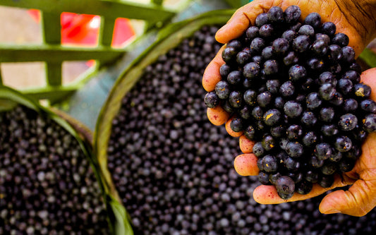 Berry Superfoods for Your Skin