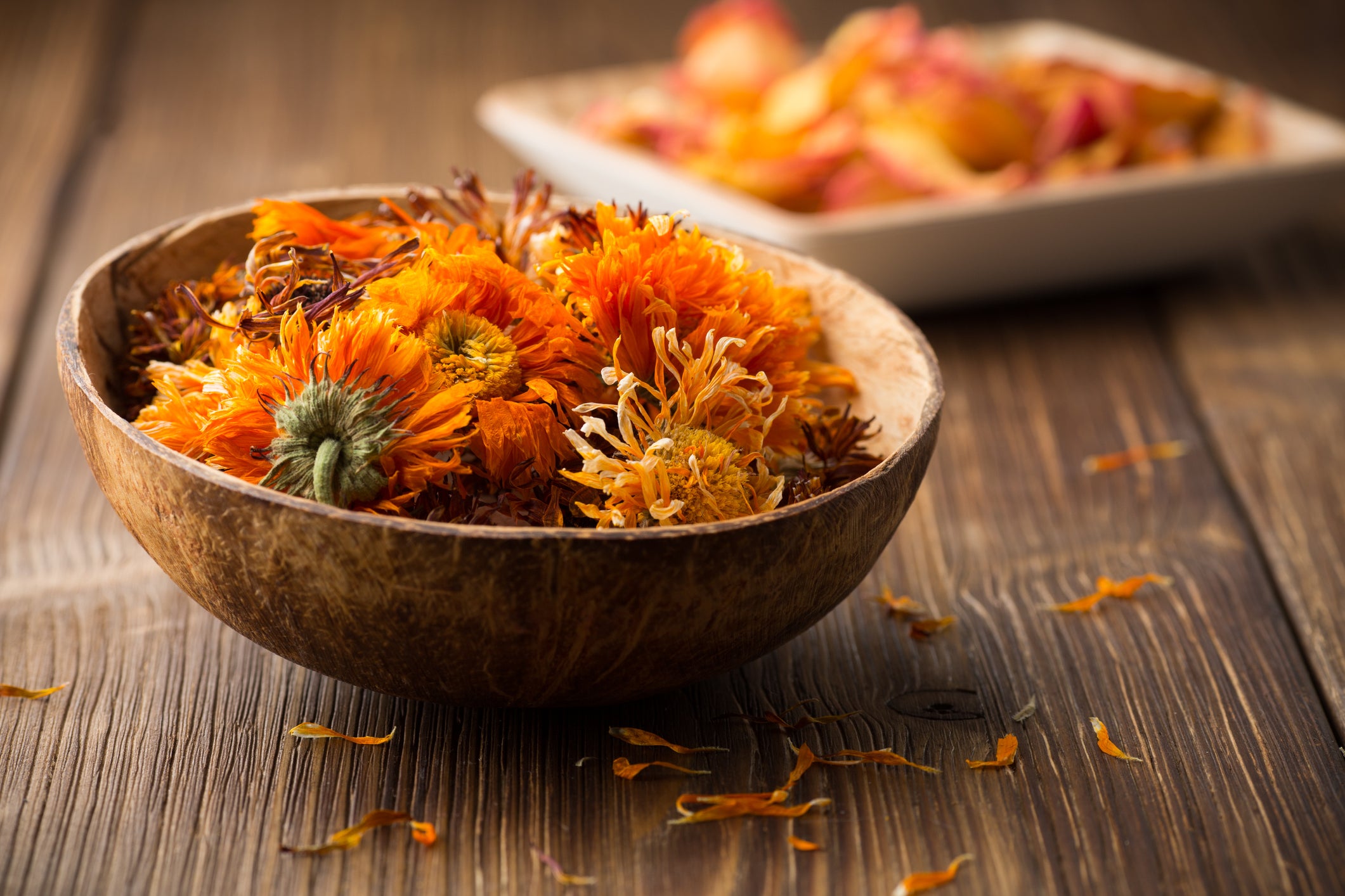 Meet the Bioactives: Calendula – Pangea
