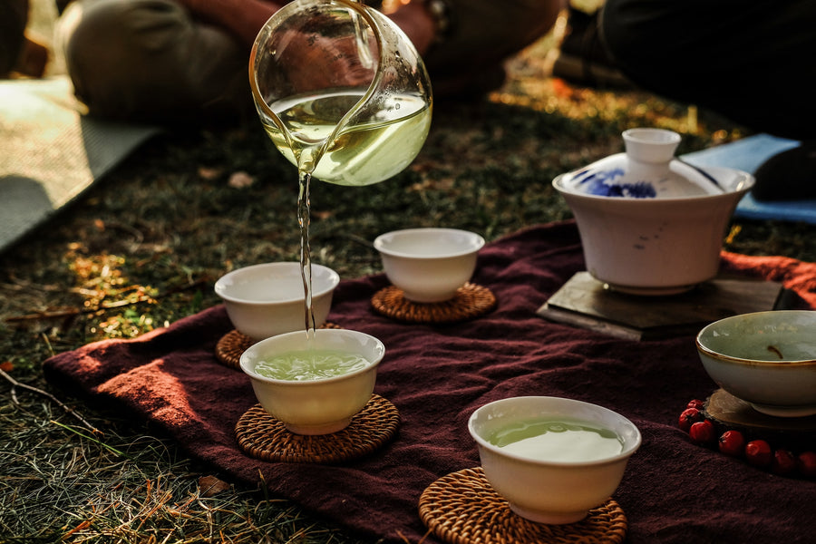 Meet the Bioactives: Green Tea