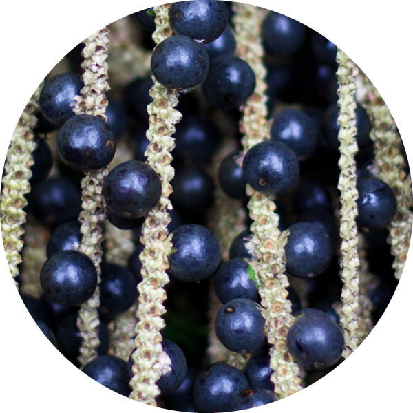 Acai Benefits For Skin