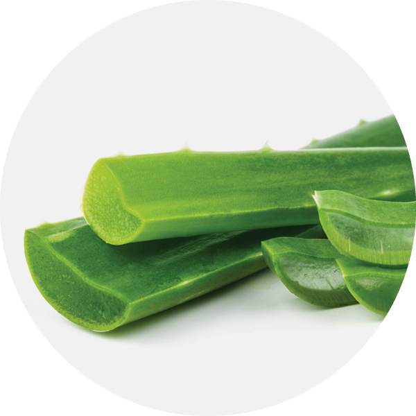 Aloe Vera Benefits For Skin