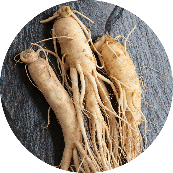 Bioactive - Ginseng