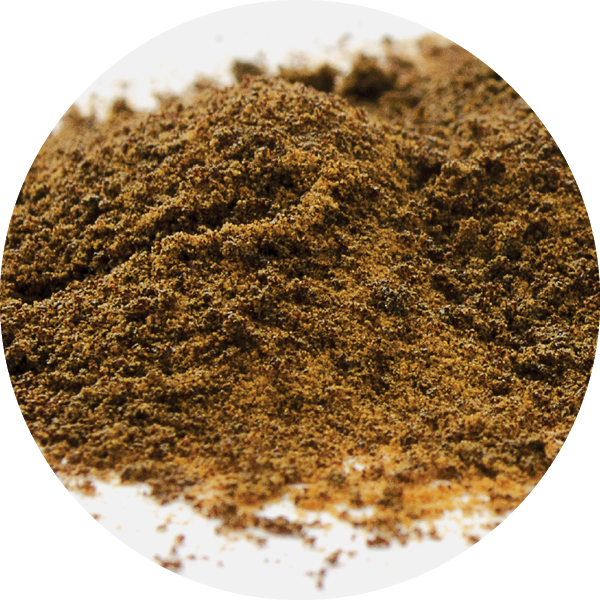 Bioactive - Inulin