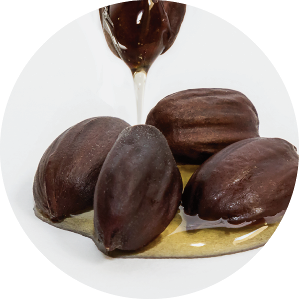 Bioactive - Jojoba Oil