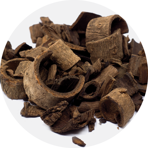 Magnolia Bark Extract For Skin