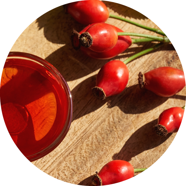 Bioactive - Rosehip Seed Oil
