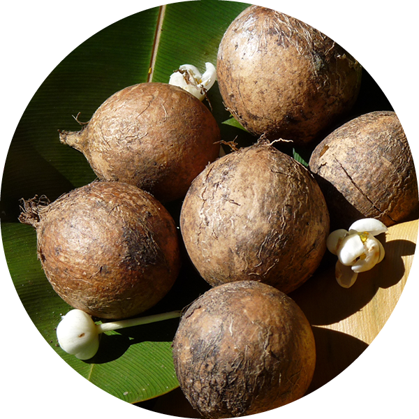 Tamanu Oil For Skin
