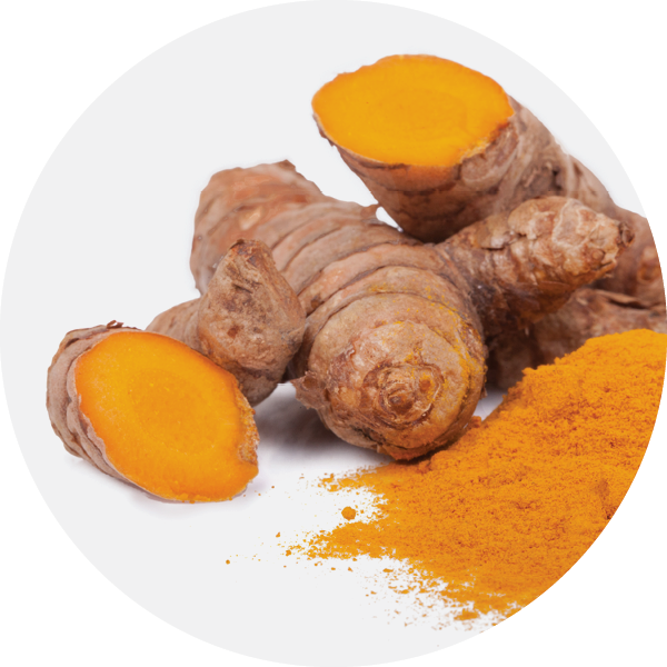 Bioactive - Turmeric